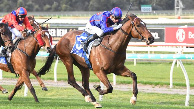 Willmott is Xavier Pegum’s best value bet of the day at Geelong on Saturday. Picture: Brett Holburt / Racing Photos