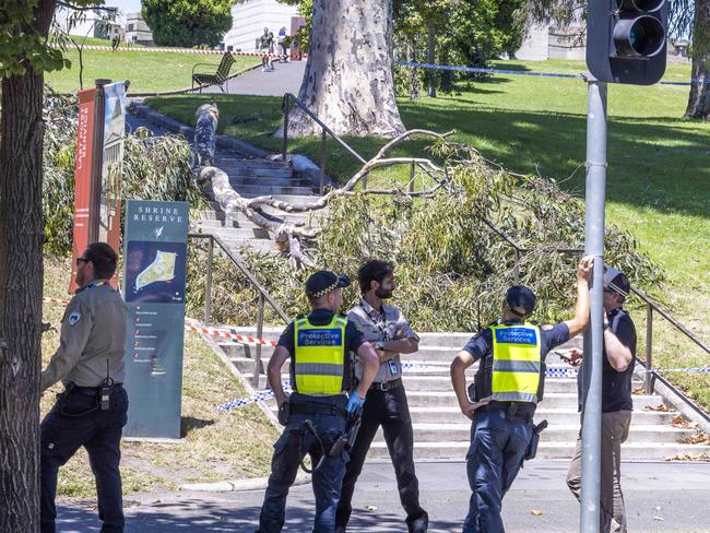 Scene near the Shrine of Remembrance where a tree branch has fallen injuring 2 people.Picture by Wayne Taylor 31st December 2024