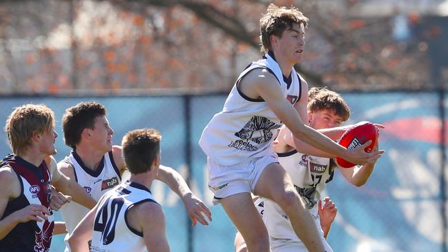 Cam Fleeton was one of Geelong’s best in 2019. Picture: David Crosling