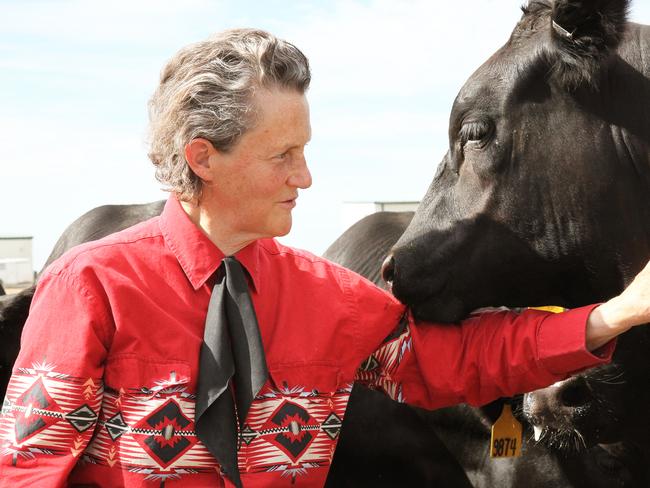 Dr Temple Grandin will address the 2015 LIVEXchange conference in Darwin this November. Picture: Supplied