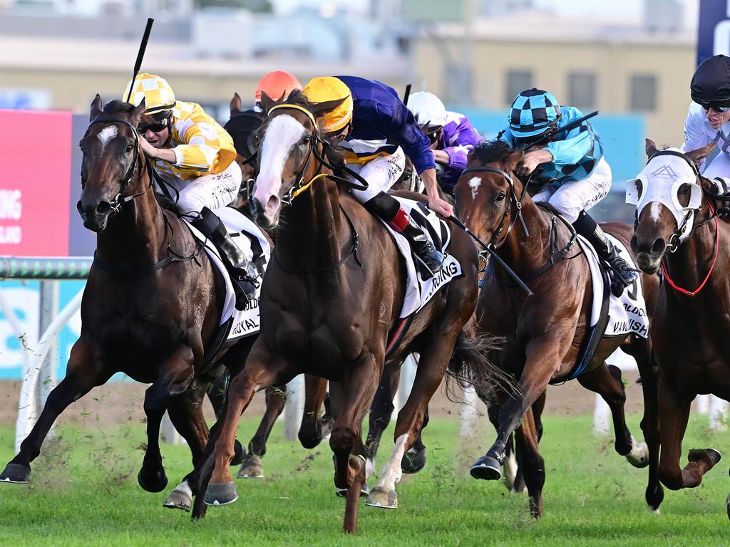 Qld racing, Horse Racing News and Thoroughbreds