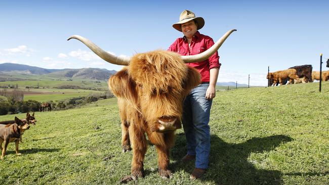 DVG - Scottish Highland Cattle. Bec Lynd (pictured) owns a property North of New Norfolk where her and her partner raise Scottish Highland Cattle for the domestic market.