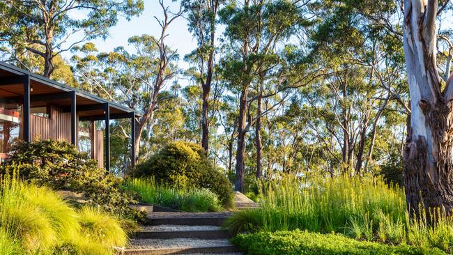 Over 30 years ago, the once traditional native garden has been re-formed using mostly drought-tolerant Tasmanian species. Picture: Claire Takacs