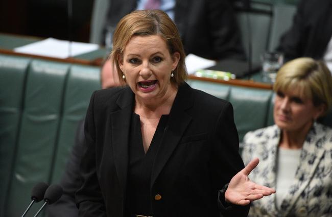 Minister for Health Sussan Ley during Question Time at Parliament House in Canberra on Monday, Feb. 29, 2016. (AAP Image/Mick Tsikas). Picture: MICK TSIKAS