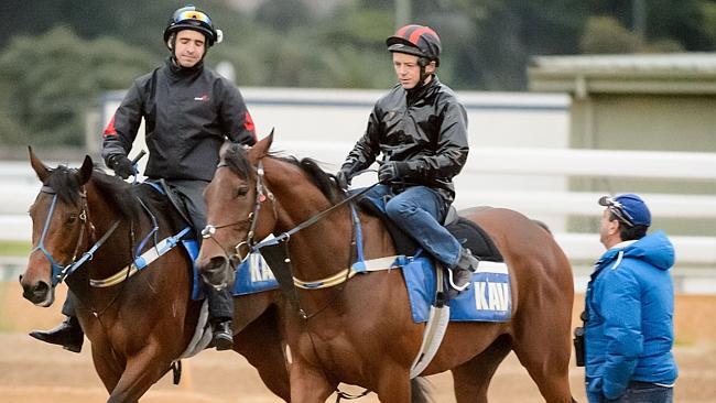 Trainer Mark Kavanagh greets Atlantic Jewel and Super Cool after yesterday's trackwork at Flemington. Picture: Jay Town