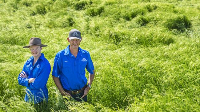 Fraser and Shane McNaul in their teff crop.