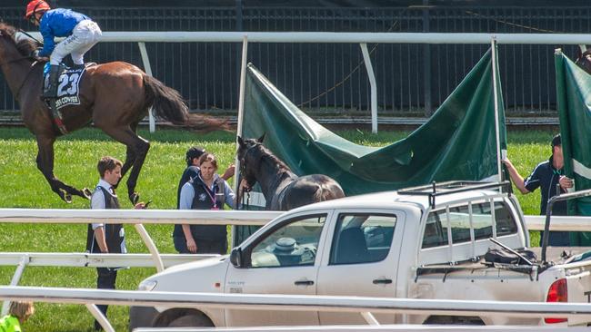 Sad sight - CliffsofMoher is hidden behind a green screen after his injury. Picture: Jason Edwards