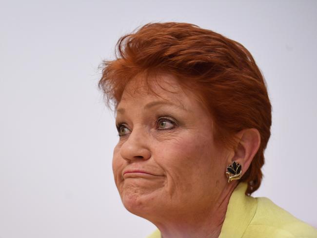 One Nation Senator Pauline Hanson speaks during the Senate estimate hearing. Picture: AAP