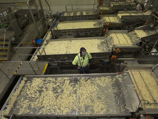 Processing at the Simplot plant at Ulverstone. Picture: CHRIS KIDD