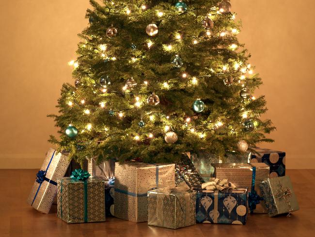 This is a photo of Christmas Presents under the tree. There is a lot of space for copy on the left.Click on the links below to view lightboxes.