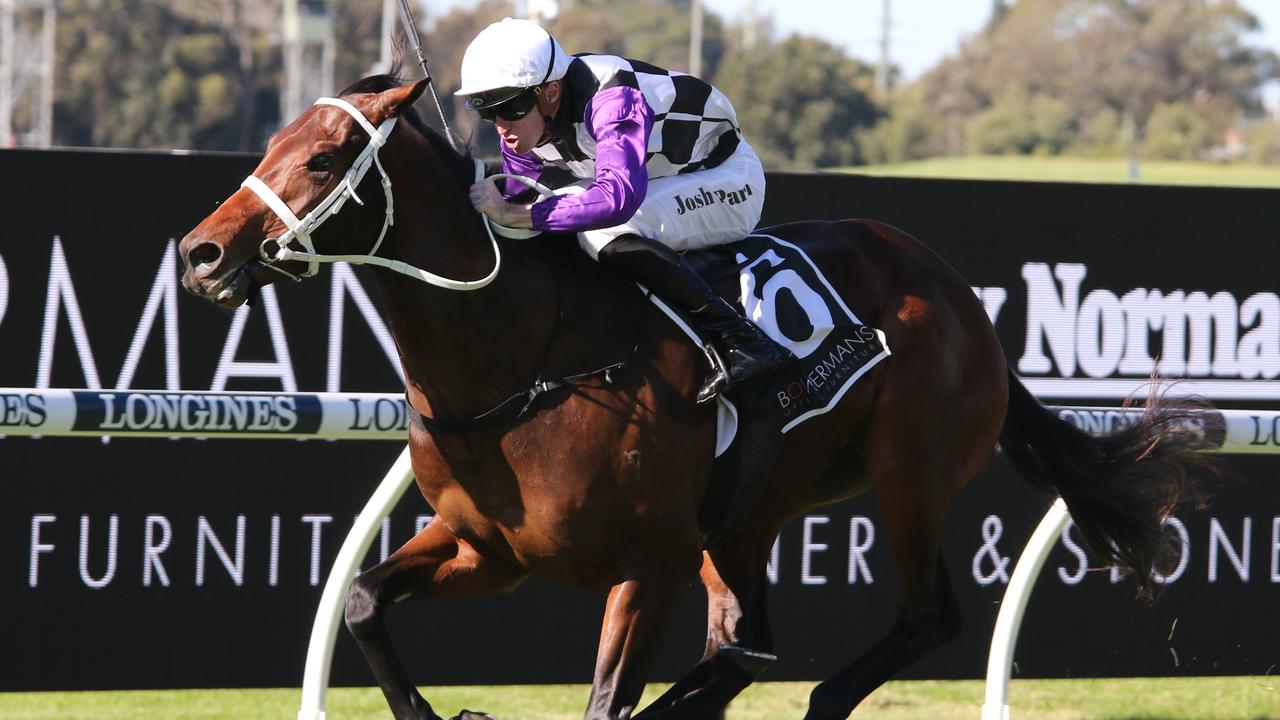 Osipenko can topple race favourite Aft Cabin in the Group 1 Randwick Guineas. Picture: Grant Guy