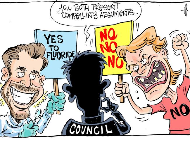 Cartoonist Harry Bruce's take on the fluoride debate.