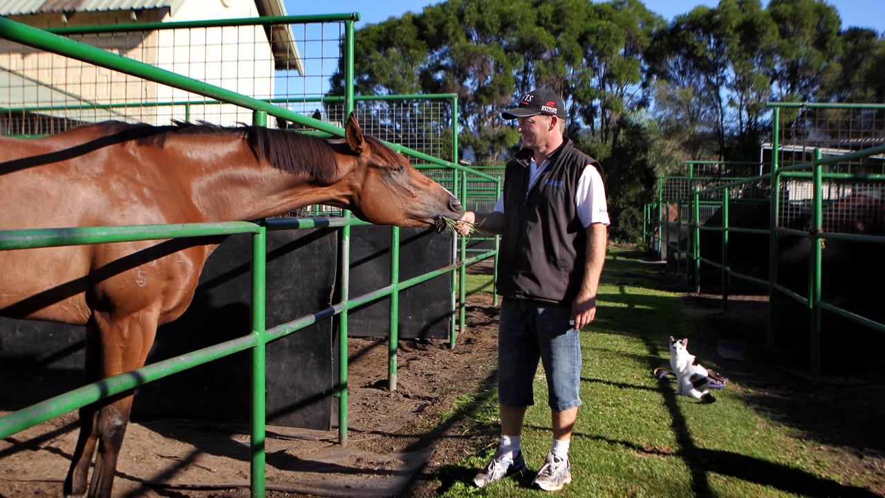 Trainer Kerry Parker with his Doncaster runner, racehorse Brilliant Light at his Kembla Grange stables.