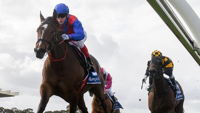 Probabeel chasing Zaaki in the Underwood Stakes. Picture: Racing Photos via Getty Images