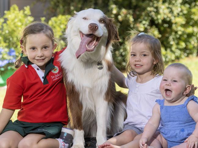 30,January, 2024: Maizey (5), Dottie (3) and Aubrey (8 months) with "Dusty" the border collie. Picture: Kelly Barnes