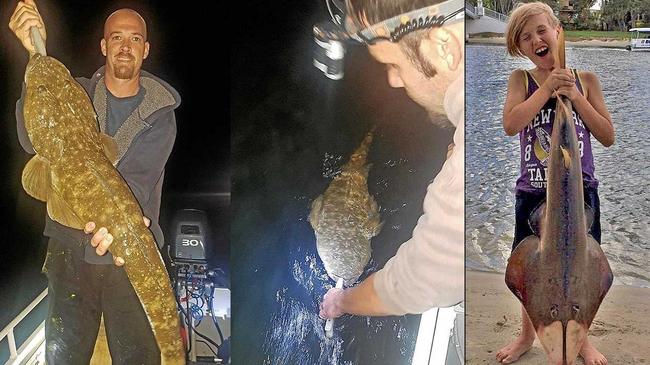 Michael Wilson landed this ripper of a flathead during the week.   PHOTO: CONTRIBUTED. Picture: www.fishingnoosa.com.au