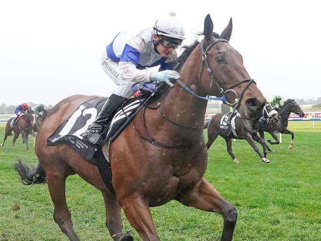 Little Jack ridden by Jason Maskiell wins the Become an MRC Member Handicap at Caulfield Racecourse on June 29, 2024 in Caulfield, Australia. (Photo by Scott Barbour/Racing Photos via Getty Images)