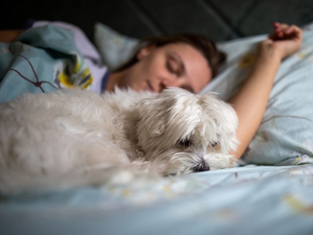 Sharing a bed might mean having to wash sheets twice a week. Picture: iStock/BjelicaS.