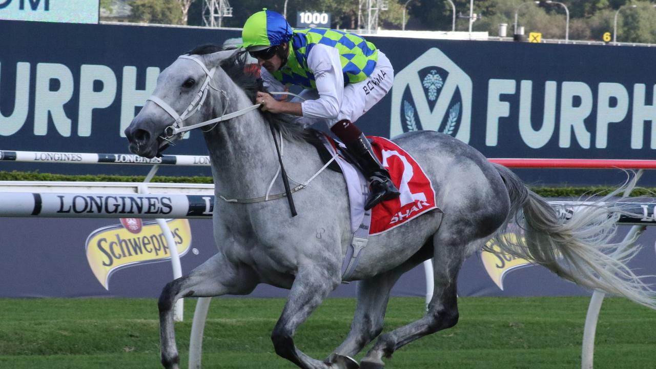 Polly Grey is well weighted for her first-up run in the Angst Stakes. Picture: Grant Guy