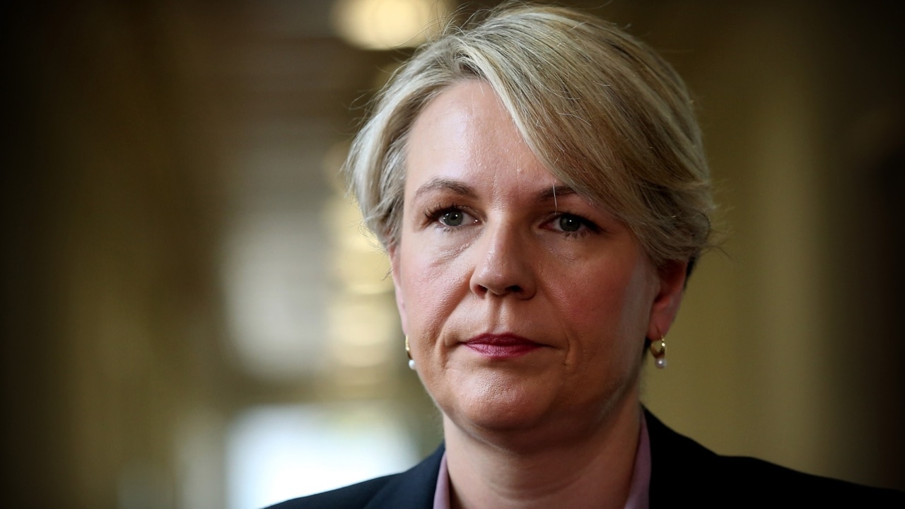 Plibersek ‘very happy’ to take up environmental role after losing education portfolio