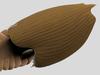 KIDS NEWS: giant marine fossil. Titanokorys gainesi reconstruction. Picture: supplied. Illustration by Lars Fields, Royal Ontario Museum.