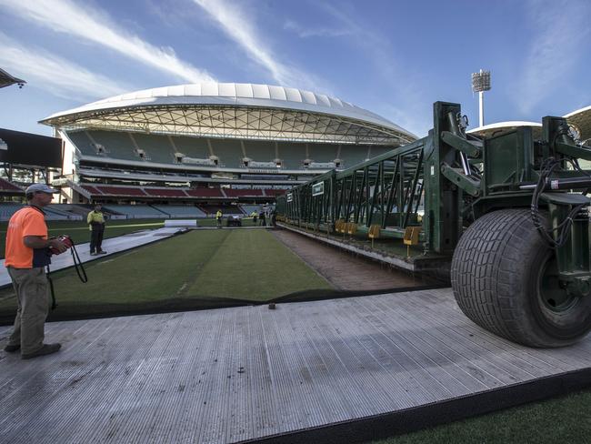 Drop-in pitches being put into Adelaide Oval.