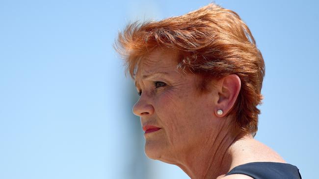 Pauline Hanson she met Josh Frydenberg on Wednesday afternoon and was ‘quite happy’ with the information the Treasurer gave her. Picture: Matt Taylor