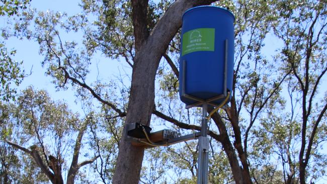 LIFESAVER: A 220Lt arboreal drinker is set about 4m above the ground and is part of the WIRES Water for Wildlife project being rolled out across the country. Currently 10 per cent of the 800 drinker tanks have been allocated to Northern Rovers landowners.