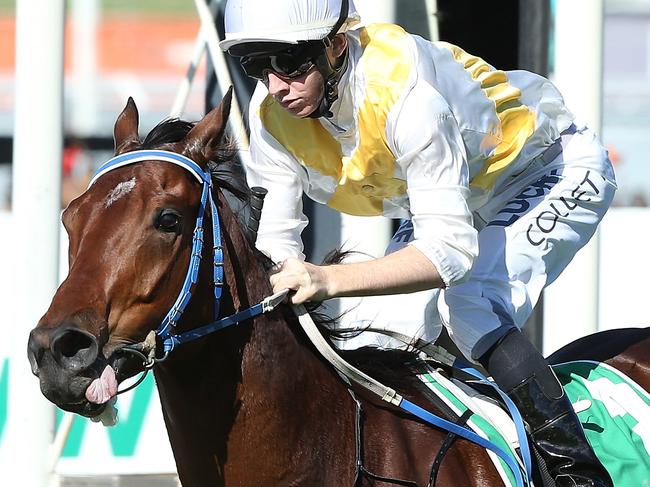 SYDNEY, AUSTRALIA - MAY 09: Jason Collett rides Alberto Magic to win race 4, The Ken Callander Fellowship Handicap, during Sydney Racing at Rosehill Gardens on May 9, 2015 in Sydney, Australia. (Photo by Anthony Johnson/Getty Images)