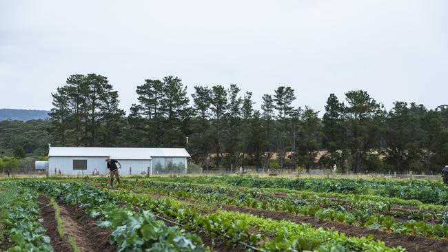 The farm, about a kilometre away from the restaurant.