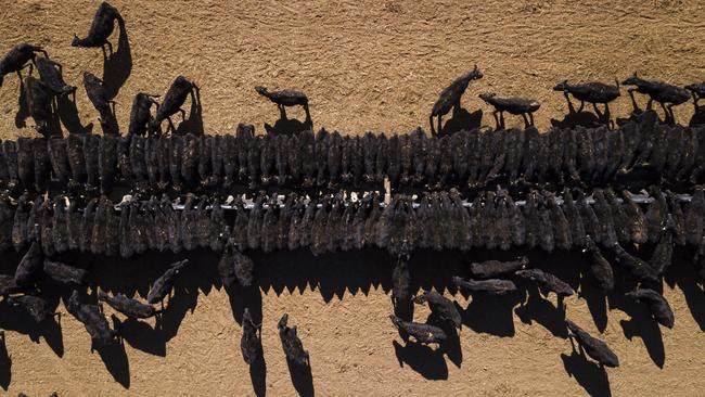 A bird’s eye view of Australia’s heartbreaking drought. Picture: Brook Mitchell/Getty Images