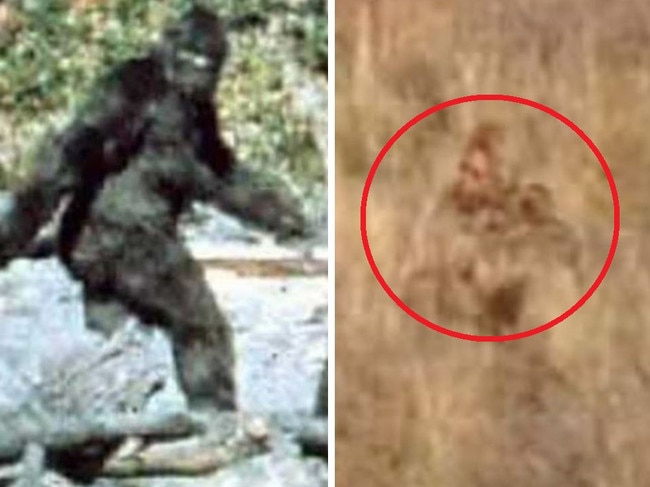 The couple say they captured footage of 'Bigfoot'. Picture: Facebook