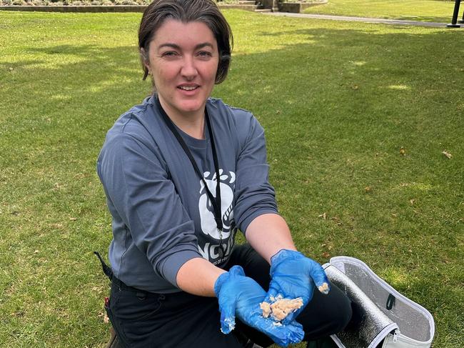 Jess Coghlan from Neighbours of Fish Farming with salmon waste on Parliament Lawns in Hobart on Friday, February 21, 2025.