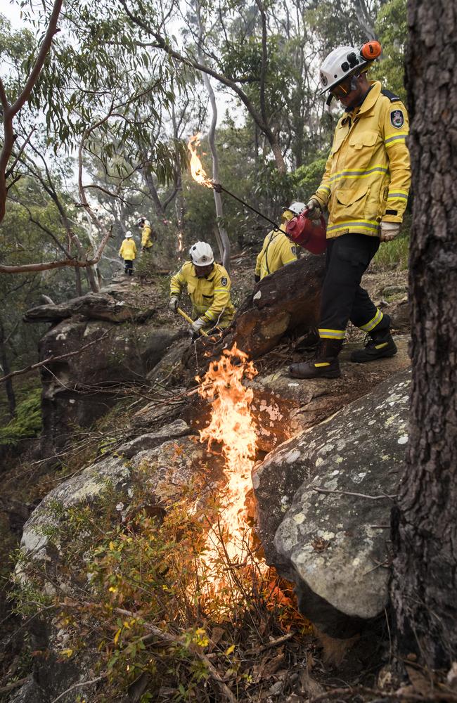 Firefighters making bushland around Mount Colah safe. Picture: Dylan Robinson