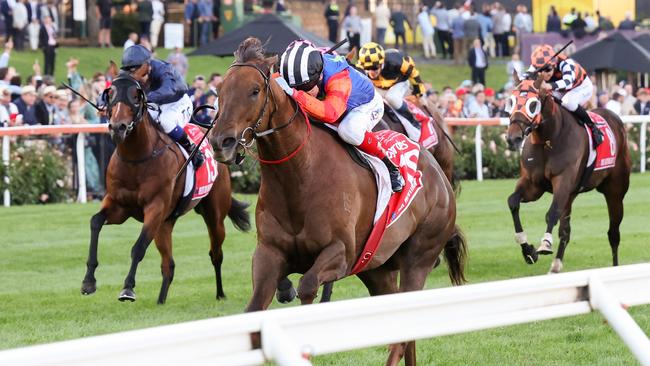 Bella Nipotina is a chance in the Giga Kick Stakes. Picture: George Sal-Racing Photos via Getty Images