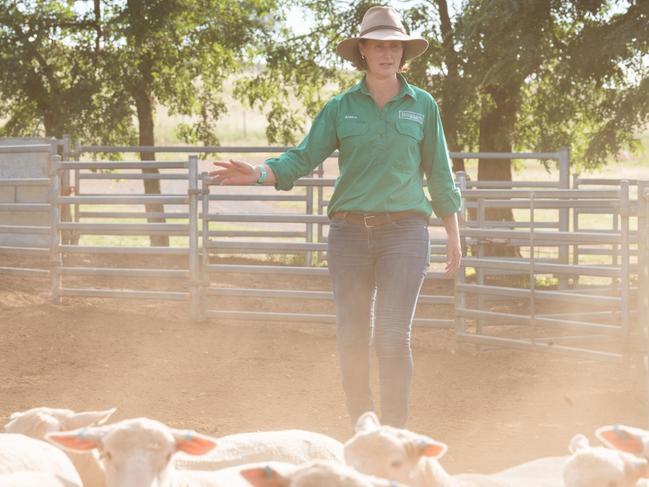 Isabele Roberts on her family's Ridgehaven Poll Dorsets property at Cudal NSW. Isabele is a finalist in The Weekly Times Coles 2023 Farmer of the Year Awards. Picture: Rachael Lenehan