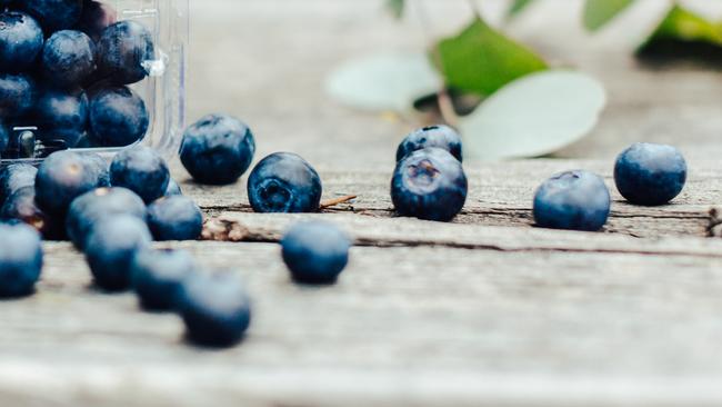 Blueberry farming is a huge Coffs industry.