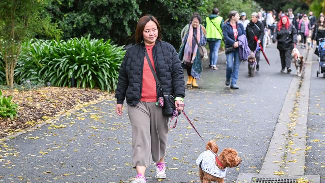 Million Paws Walk at Adelaide Botanic Gardens. Picture: Brenton Edwards