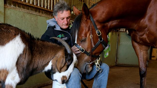 Trainer Terry Evans and his horses escaped the fires that ravaged the NSW mid-north coast. Picture: Nathan Edwards