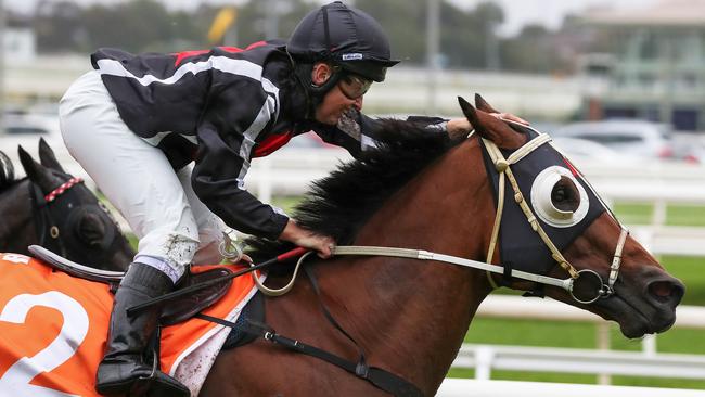 Jungle Edge will be hard to beat on a soft track at Caulfield. Picture: Getty Images