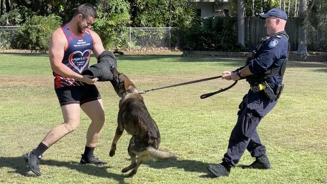 Police dog Drago and handler Senior Constable David Sloane demonstrate how they catch criminals with the assistance of agitator Constable Nickolas Andersen. Picture: Leighton Smith.