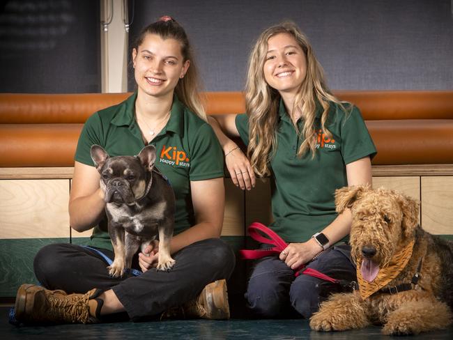 ADELAIDE, AUSTRALIA - Advertiser Photos APRIL 12, 2022: Kip Doggy Daycare Centre workers Georgana Coles (pony tale 0401129570) with client dog French Bulldog sisterÃs Coco (dark brown) Siena Withey with her dog Wilber an Airedale Terrier at KipÃs second location in Allenby Gardens, SA. Picture Emma Brasier.