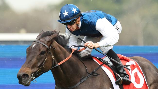 Wategos can strike for Bjorn Baker at Ipswich on Saturday. Picture: Jeremy Ng/Getty Images.