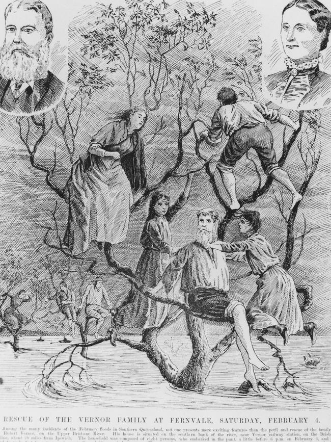 Great Brisbane floods of 1893 Engraving of the Vernor family in the tree.