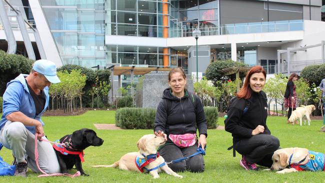 Assistance Dogs Australia puppy educators in a training class.