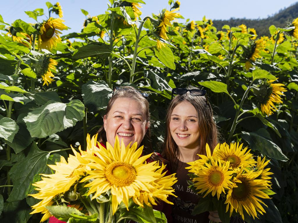 Belinda (left) and Haileigh Gleeson at the picnic with the sunflowers event hosted by Ten Chain Farm, Saturday, June 8, 2024. Picture: Kevin Farmer