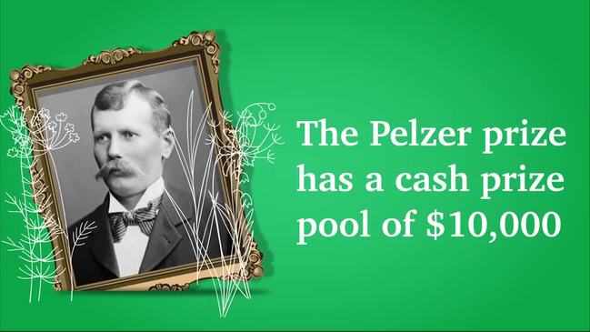 Introducing the Pelzer Prize