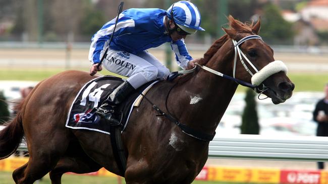 Pillar of Hercules ridden by jockey Luke Nolen at Moonee Valley in 2007.