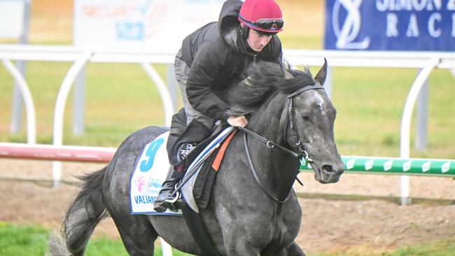 The Ozzie Kheir-owned Valiant King could get under punters’ guards in the Melbourne Cup. Picture: Racing Photos