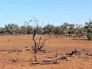 There are some areas of Queensland in their sixth year of drought. Picture: Contributed